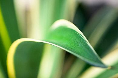 日本2万亿日元支持芯片及AI产业 含对台积电援助